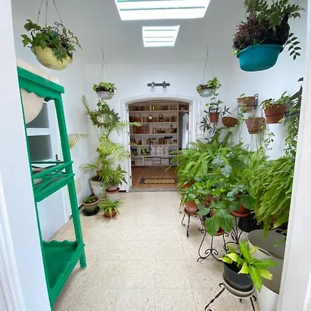 Vegueta * Ла-Вегета