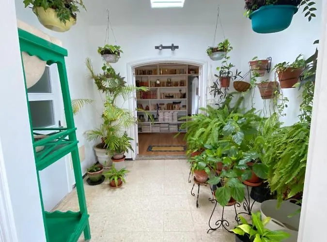 Vegueta * La Vegueta