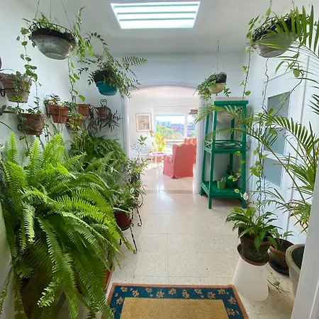 Сasa de vacaciones Vegueta